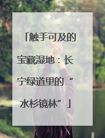 触手可及的宝藏湿地：长宁绿道里的“水杉镜林”