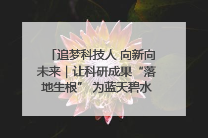 追梦科技人 向新向未来｜让科研成果“落地生根” 为蓝天碧水“保驾护航”
