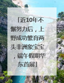 近10年不懈努力后，上野成功繁育两头非洲象宝宝，端午假期华东首展