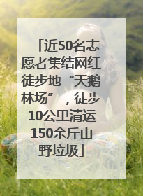 近50名志愿者集结网红徒步地“天鹅林场”，徒步10公里清运150余斤山野垃圾