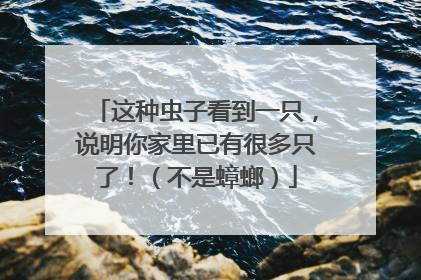 这种虫子看到一只，说明你家里已有很多只了！（不是蟑螂）