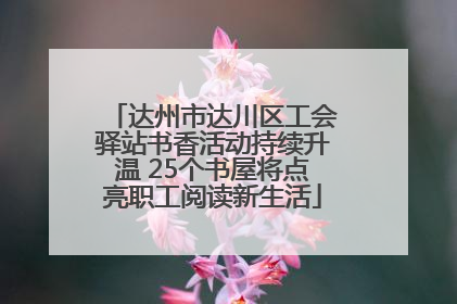 达州市达川区工会驿站书香活动持续升温 25个书屋将点亮职工阅读新生活