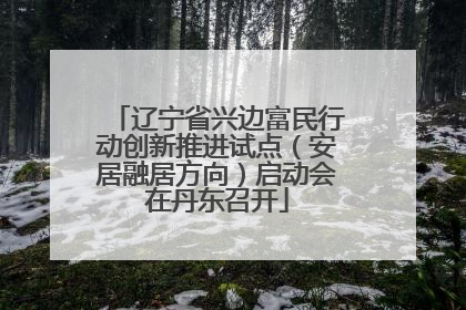 辽宁省兴边富民行动创新推进试点（安居融居方向）启动会在丹东召开