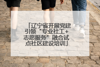 辽宁省开展党建引领“专业社工+志愿服务”融合试点社区建设培训