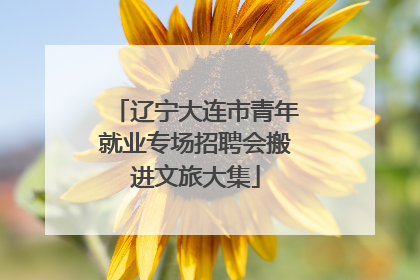 辽宁大连市青年就业专场招聘会搬进文旅大集