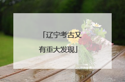 辽宁考古又有重大发现
