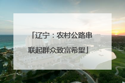 辽宁：农村公路串联起群众致富希望