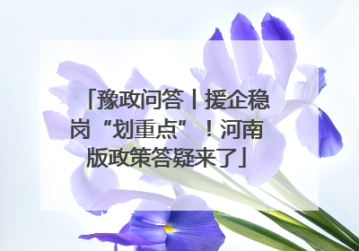 豫政问答丨援企稳岗“划重点”！河南版政策答疑来了