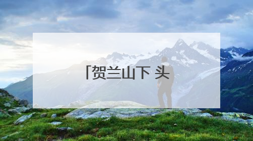 贺兰山下 头茬枸杞迎丰收