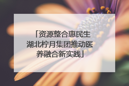 资源整合惠民生 湖北柠月集团推动医养融合新实践