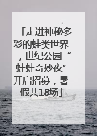 走进神秘多彩的蛙类世界，世纪公园“蛙蛙奇妙夜”开启招募，暑假共18场