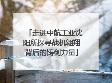 走进中航工业沈阳所探寻战机翱翔背后的铸剑力量