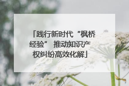 践行新时代“枫桥经验” 推动知识产权纠纷高效化解
