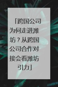 跨国公司为何走进潍坊？从跨国公司合作对接会看潍坊引力