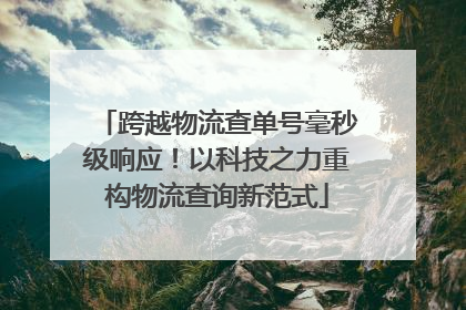 跨越物流查单号毫秒级响应！以科技之力重构物流查询新范式