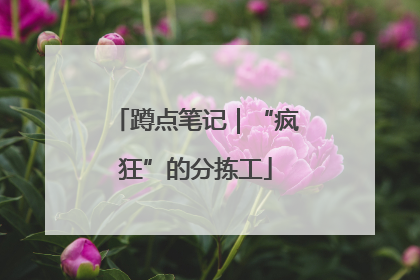 蹲点笔记｜“疯狂”的分拣工