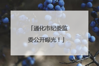 通化市纪委监委公开曝光！