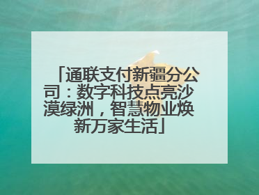 通联支付新疆分公司：数字科技点亮沙漠绿洲，智慧物业焕新万家生活