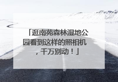 逛南苑森林湿地公园看到这样的照相机，千万别动！