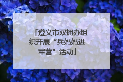遵义市双拥办组织开展“兵妈妈进军营”活动