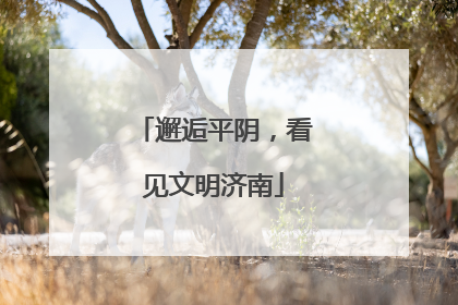 邂逅平阴，看见文明济南