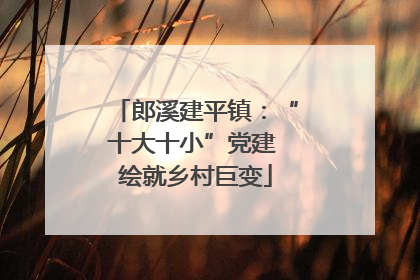 郎溪建平镇：“十大十小”党建 绘就乡村巨变