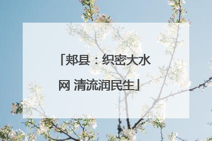郏县：织密大水网 清流润民生