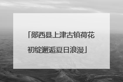 郧西县上津古镇荷花初绽邂逅夏日浪漫