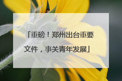 重磅！郑州出台重要文件，事关青年发展