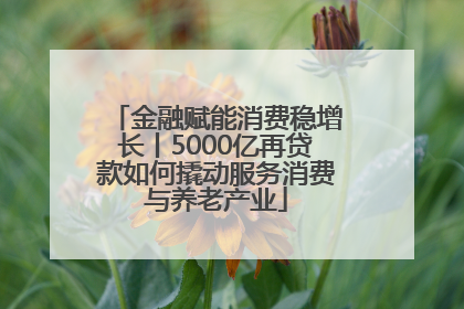 金融赋能消费稳增长丨5000亿再贷款如何撬动服务消费与养老产业