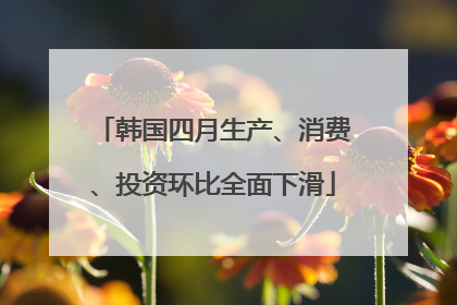 韩国四月生产、消费、投资环比全面下滑
