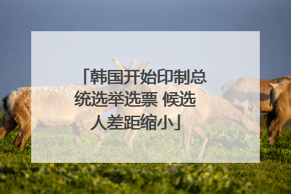 韩国开始印制总统选举选票 候选人差距缩小