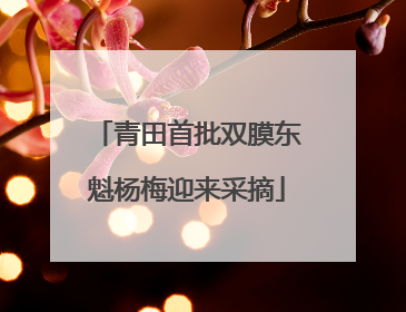 青田首批双膜东魁杨梅迎来采摘