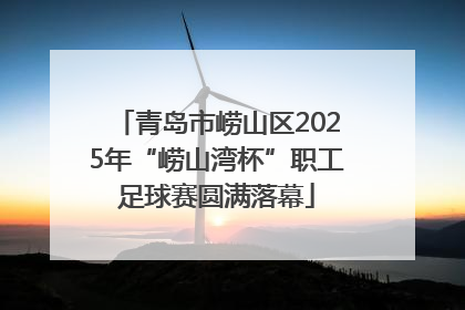 青岛市崂山区2025年“崂山湾杯”职工足球赛圆满落幕