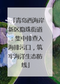 青岛西海岸新区隐珠街道：集中排查入海排污口，筑牢海洋生态防线