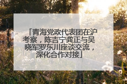 青海党政代表团在沪考察，陈吉宁龚正与吴晓军罗东川座谈交流，深化合作对接
