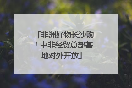 非洲好物长沙购！中非经贸总部基地对外开放