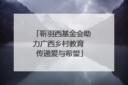 靳羽西基金会助力广西乡村教育 传递爱与希望