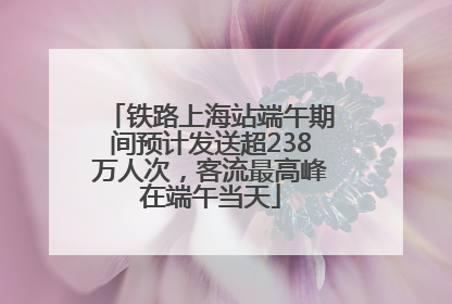 铁路上海站端午期间预计发送超238万人次，客流最高峰在端午当天