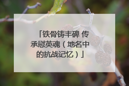铁骨铸丰碑 传承慰英魂（地名中的抗战记忆）