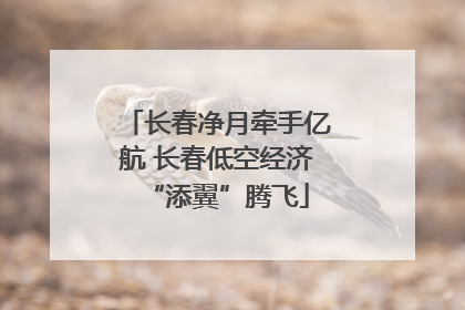 长春净月牵手亿航 长春低空经济“添翼”腾飞