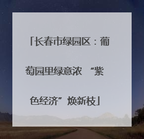 长春市绿园区：葡萄园里绿意浓 “紫色经济”焕新枝