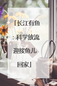长江有鱼：科学放流 迎接鱼儿回家