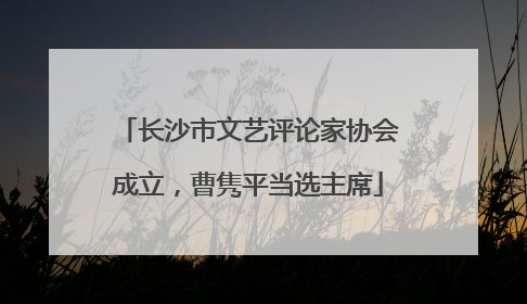 长沙市文艺评论家协会成立，曹隽平当选主席