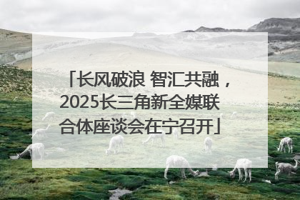 长风破浪 智汇共融，2025长三角新全媒联合体座谈会在宁召开