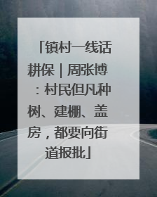 镇村一线话耕保｜周张博：村民但凡种树、建棚、盖房，都要向街道报批