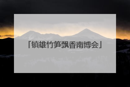 镇雄竹笋飘香南博会