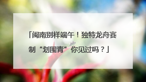 闽南别样端午！独特龙舟赛制“划围青”你见过吗？
