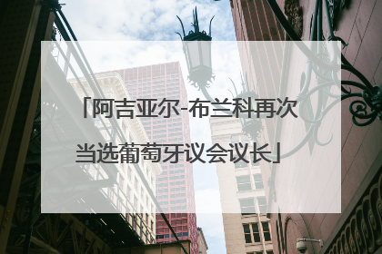 阿吉亚尔-布兰科再次当选葡萄牙议会议长
