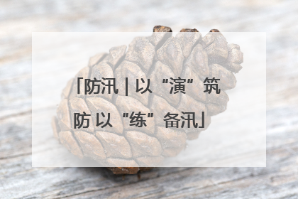 防汛｜以“演”筑防 以“练”备汛